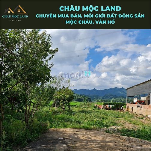 Hình ảnh Cần bán đất bản áng - đông sang - mộc châu view cực đẹp