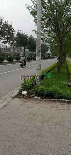 Hình ảnh Đất Trịnh Văn Bô cạnh Bãi gửi ô tô, hơn 3 tỷ, 55m2