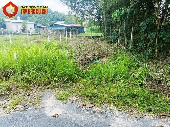 Hình ảnh Bán đất 2/ Nguyễn Văn Tiệp - 97m2 - 5x20 - 93m2 thổ cư - xã An Phú