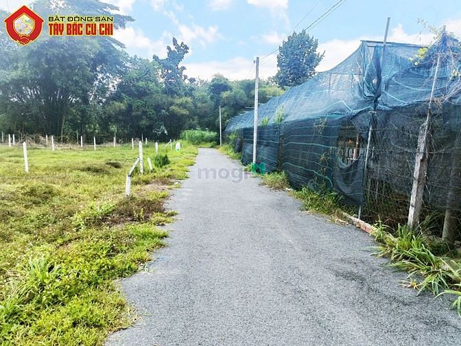Hình ảnh Bán đất 2/ Nguyễn Văn Tiệp - 97m2 - 5x20 - 93m2 thổ cư - xã An Phú