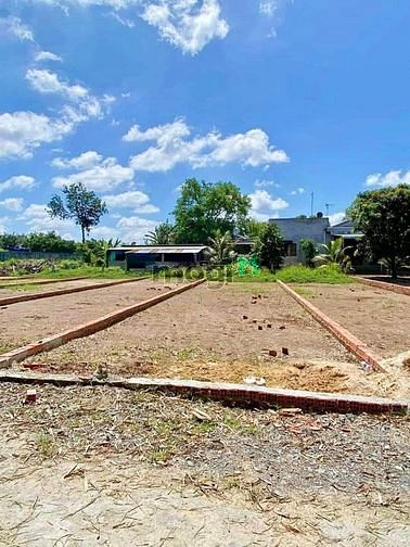 Hình ảnh Cần ra gấp 12 lô đất gần chợ Bình Chánh từ CĐT đường nội bô số 16