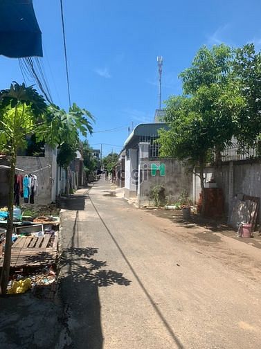 Hình ảnh Đất 500m2 cực rộng tại phường 12, TP. Vũng Tàu