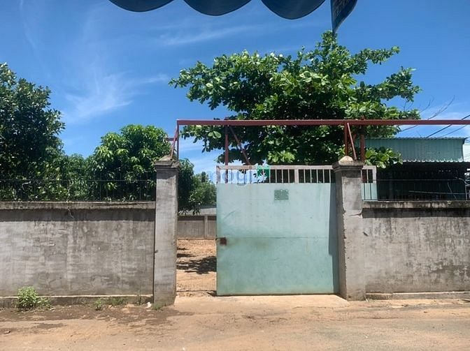 Hình ảnh Đất 500m2 cực rộng tại phường 12, TP. Vũng Tàu