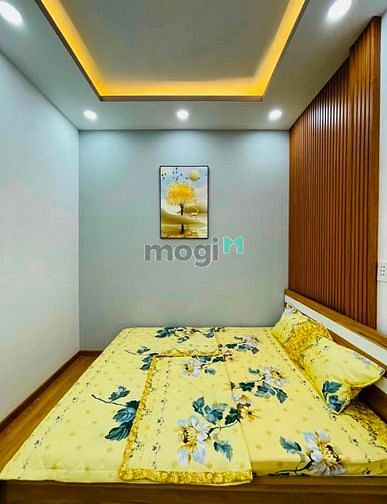 Hình ảnh Chính Chủ: Hồ Hảo Hớn P.Cô Giang Q1 ( 42m2 ) SHR