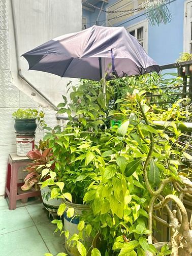 Hình ảnh Bán nhà Phan Văn Trị,p10,GV 33m2 chỉ 3.42 tỷ TL