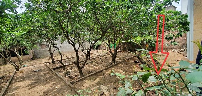 Hình ảnh Bán đất Thượng Cát, Bắc Từ Liêm, 40m2 Vuông vắn, ÔTÔ đỗ cổng-Nhỉnh 1Tỷ
