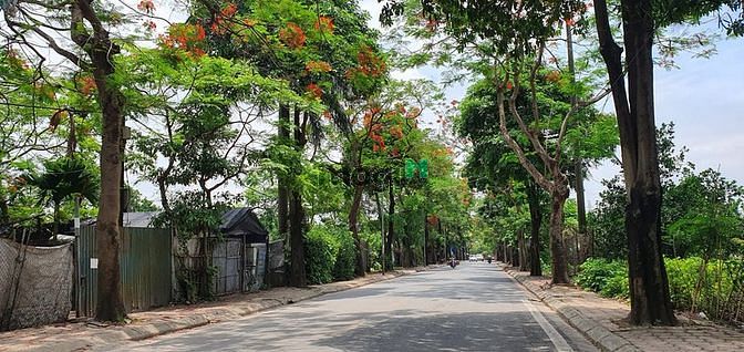 Hình ảnh Bán đất Thượng Cát, Bắc Từ Liêm, 40m2 Vuông vắn, ÔTÔ đỗ cổng-Nhỉnh 1Tỷ