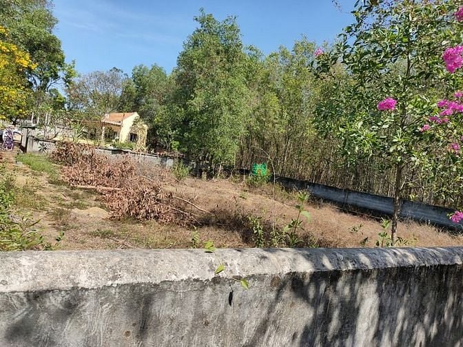 Hình ảnh Cần bán đất Công Viên Nghĩa Trang - Biệt Động Tình Báo Thủ Biên