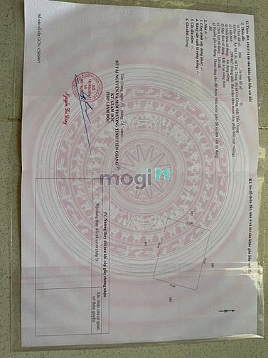 Hình ảnh Hàng Hot Mb6623 phiên bản mới nhất. 2300m2 Đất Trục Quốc Lộ 50. Gò Công . Tiền Giang