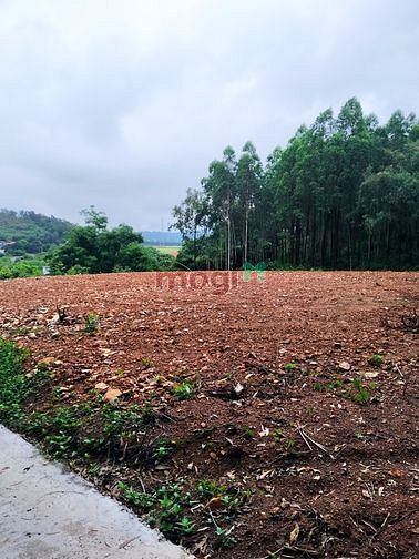 Hình ảnh Bán lô đất 1826m2 giá thương lượng Cẩm Lý-Lục Nam