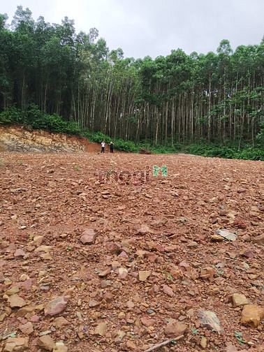 Hình ảnh Bán lô đất 1826m2 giá thương lượng Cẩm Lý-Lục Nam