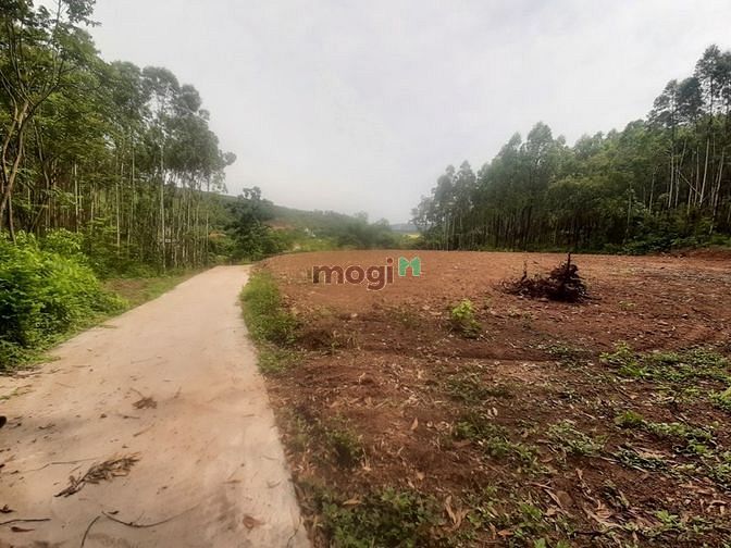 Hình ảnh Bán lô đất 1826m2 giá thương lượng Cẩm Lý-Lục Nam
