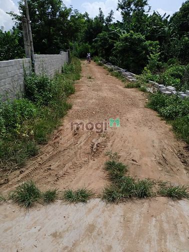 Hình ảnh Bán lô đất 454m2 giá 2 triệu 1/ 1m2 Cẩm Lý-Lục Nam