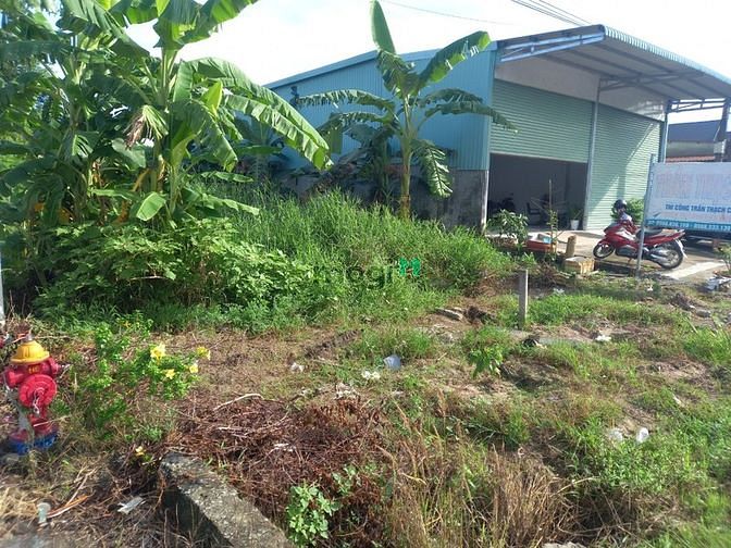 Hình ảnh Đất ngộp cần bán gấp mặt tiền DH516 xã Tân Long Phú Gíao