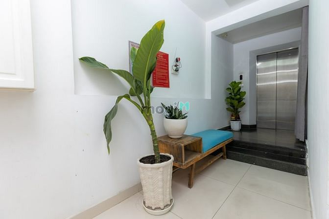 Hình ảnh ✅Căn Hộ Cao Cấp Nguyễn Đình Chiểu - Đa Kao - Quận 1✅