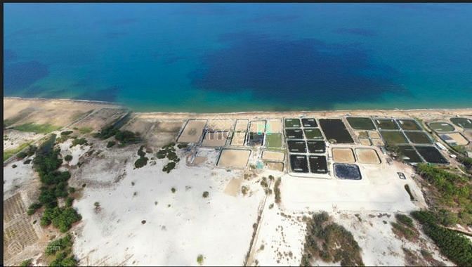 Hình ảnh Cần bán lô đất 5000m2 mặt biển Hòa Thắng - Bắc Bình,gần đường đôi 716B