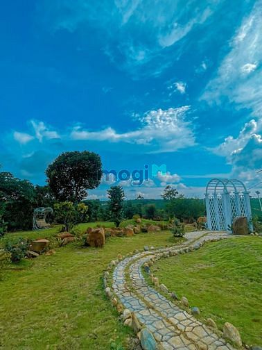 Hình ảnh bán lô đất full thổ cư view săn mây cực đỉnh