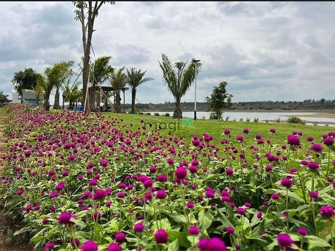 Hình ảnh Đất gần sân bay Long Thành. Giá chỉ 900k/1m2