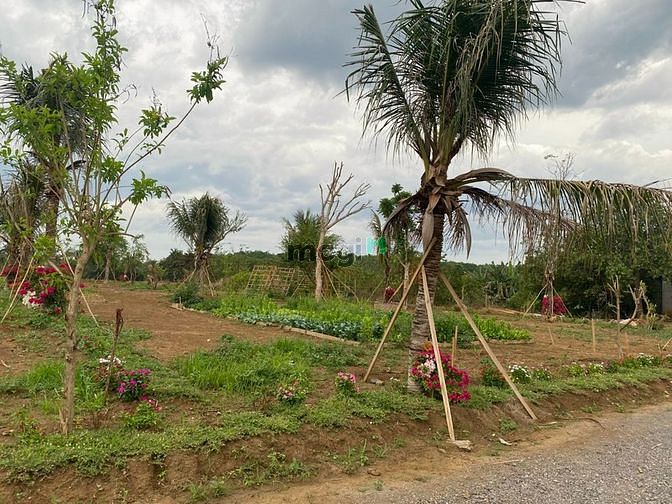 Hình ảnh Đất gần sân bay Long Thành. Giá chỉ 900k/1m2