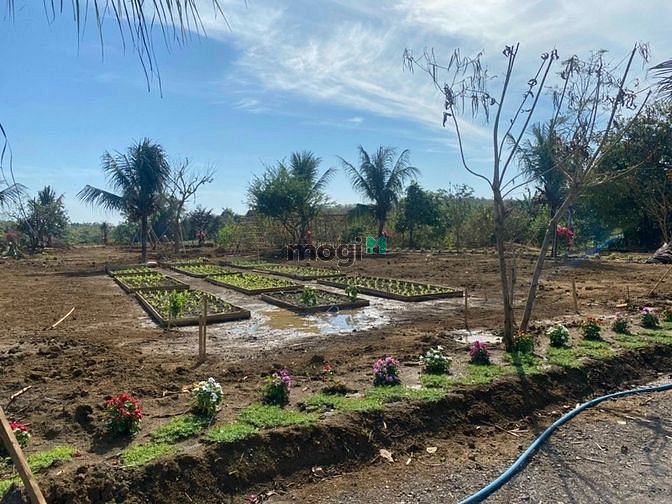 Hình ảnh Đất gần sân bay Long Thành. Giá chỉ 900k/1m2
