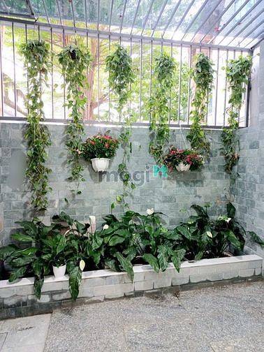 Hình ảnh Hoàng Hoa Thám - Bình Thạnh - 66m2 - 4 tầng - mới 100% - chỉ 8.7tỷ