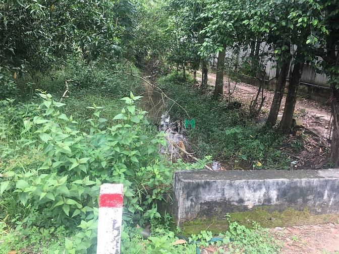 Hình ảnh - Bán lô đất đường DH704- Định An-Dầu Tiếng-DT632m2.