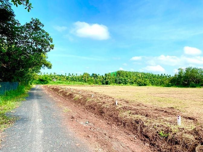 Hình ảnh Đất Nền Giá Rẻ Trung Tâm Bình Phước