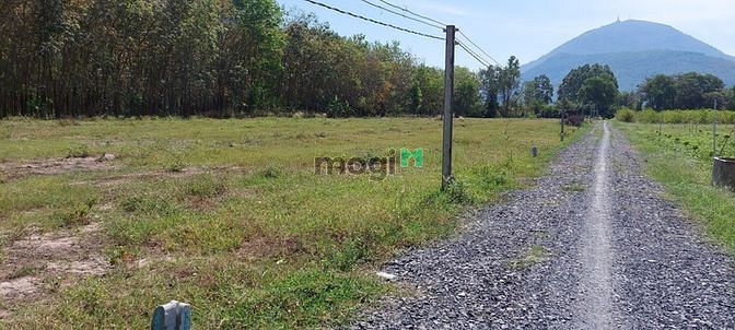 Hình ảnh Hiện tại em đang còn 3 lô đất gần Tp Tây Ninh giá chỉ 500tr