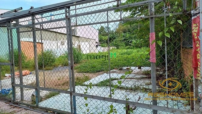 Hình ảnh Cho thuê đất trống 480m2 đường nguyễn thành phương, phường thống nhất