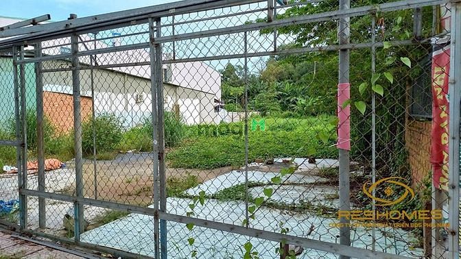Hình ảnh Cho thuê đất trống 480m2 đường nguyễn thành phương, phường thống nhất