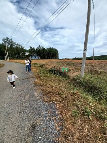 Hình ảnh đất nền thổ cư giá rẻ bình phước