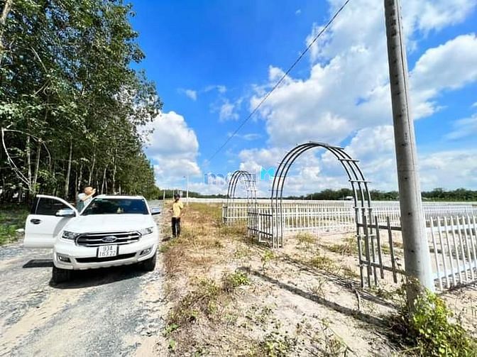 Hình ảnh Đất sào nghĩ dưỡng hơn 2000m2 có TC tại Chơn Thành Bình Phước