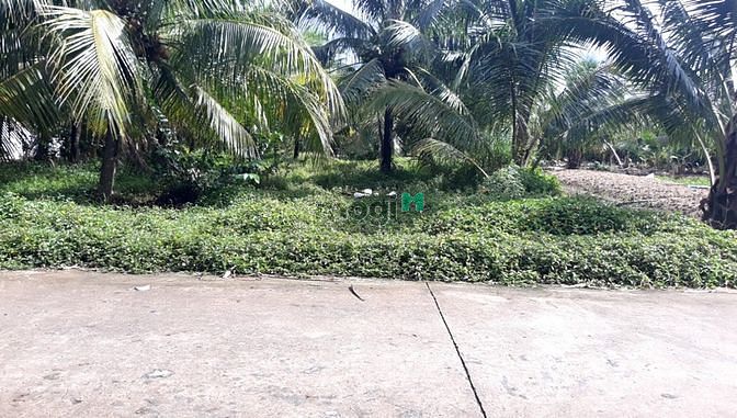 Hình ảnh Bán đất thổ cư gần bệnh viện mới đa khoa tỉnh Tiền Giang
