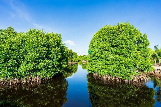 Hình ảnh Bán Biệt thự Biển 3 tầng 255m2, khu compound chuẩn resort 5 sao – Sở h