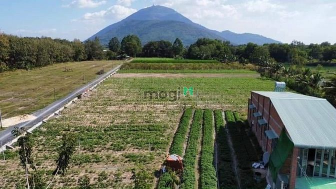 Hình ảnh Đất chợ chính chủ giá rẻ Tân Châu
