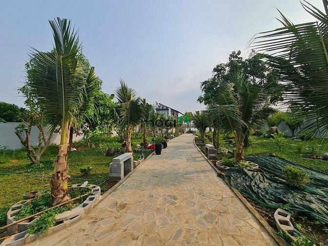 Hình ảnh Tôi cần bán đất vườn có sẵn trái cây trên đất