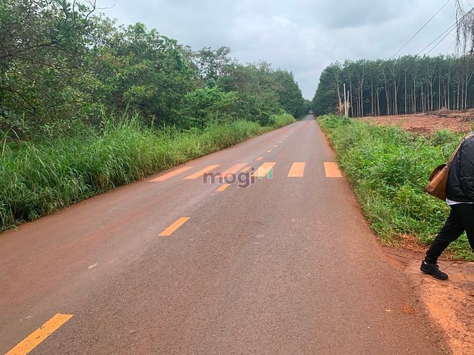 Hình ảnh Đất UBND xã Thuận Phú, Đồng Phú
