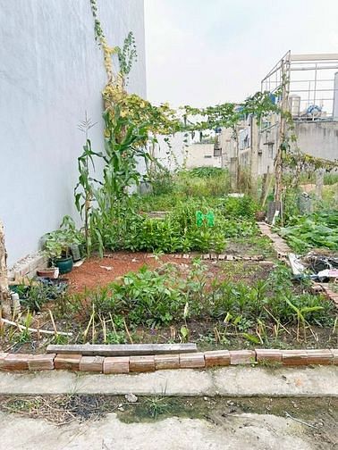 Hình ảnh Bán lô đất thổ cư. Đường hà huy giáp 4x20m. Hẻm xe hơi