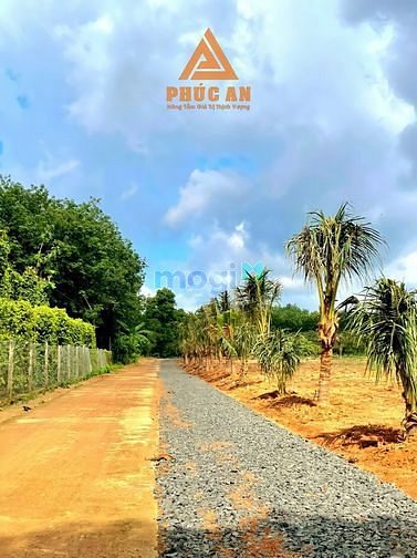 Hình ảnh Đất thành phố đồng xoài view hồ