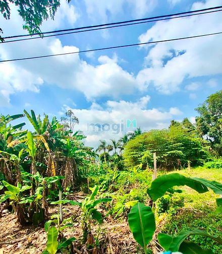 Hình ảnh Bán nền mặt tiền Huỳnh thị nỡ Quận Cái răng giá 1.8 Tỷ