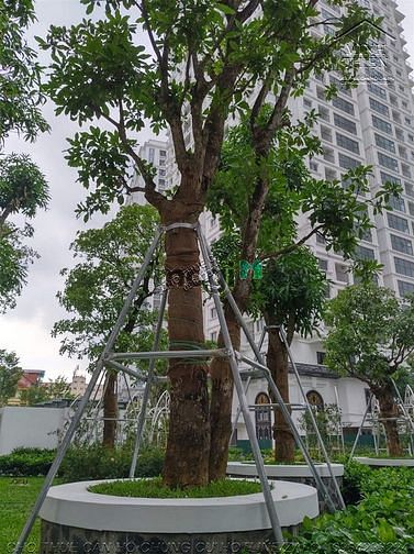 Hình ảnh ( chung cư iris garden) cho thuê căn 3 ngủ full nội thất cao cấp