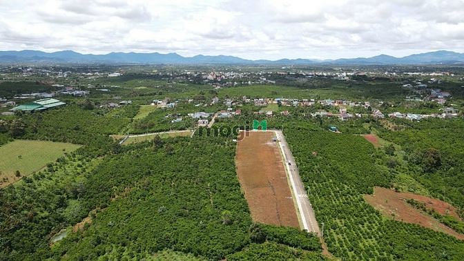 Hình ảnh Chỉ vỚI 700TR Sở Hữu Ngay Lô Đất TTTP Bảo Lộc Đất Thổ Cư- Sổ HồngRiêng