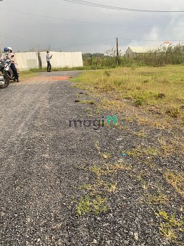 Hình ảnh Đất nền giá rẻ nhất khu vực Bình Chánh nội bộ số 16