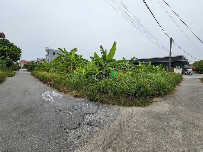 Hình ảnh Mua bán đất tổ 6 thi trấn an dương,