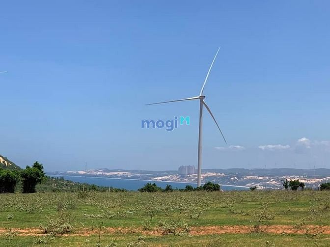 Hình ảnh Bán đất 3000m2 gần biển,cao tốc,dự án Nova,150k/m2