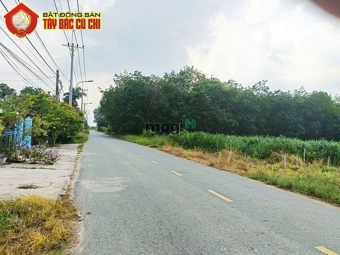 Hình ảnh Bán đất đường bến súc - 495m2 - 10x50 - 120m2 thổ cư - xã an phú - củ