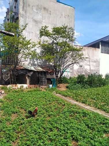 Hình ảnh Đất mặt tiền thới tam thôn hóc môn 1414m2 chỉ 21.5 tỷ