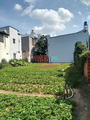 Hình ảnh Đất mặt tiền thới tam thôn hóc môn 1414m2 chỉ 21.5 tỷ