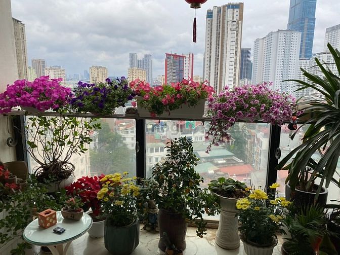 Hình ảnh Bán Trang Chủ MB66.COM / Đăng Ký Tặng 66K 128m2 chung cư Chelsea park đường Trung Kính, Cầu Giấy