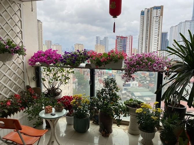 Hình ảnh Bán Trang Chủ MB66.COM / Đăng Ký Tặng 66K 128m2 chung cư Chelsea park đường Trung Kính, Cầu Giấy
